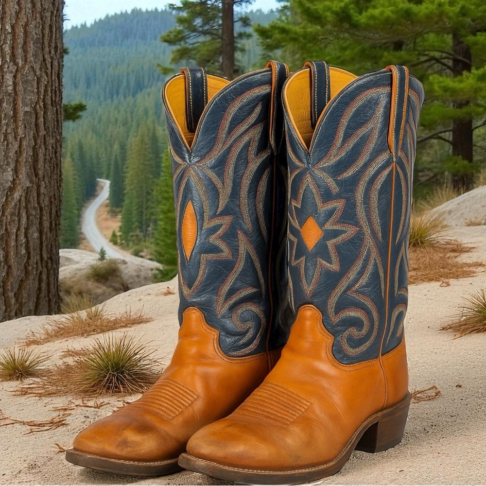 Stylish Blue and Tan Cowboy Boots